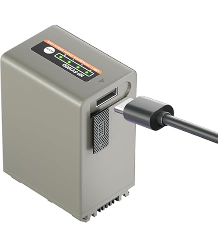 Amazon.com : Sony NP-FV100 Rechargeable Battery Pack (Retail